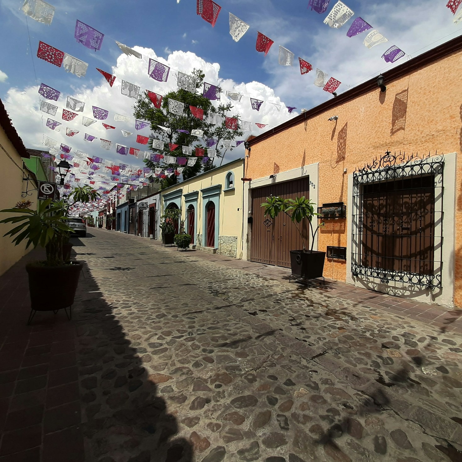 Un vistazo a los logros recientes del ayuntamiento